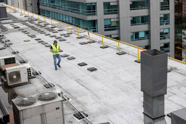Best Roof Maintenance and Cleaning  in , WY