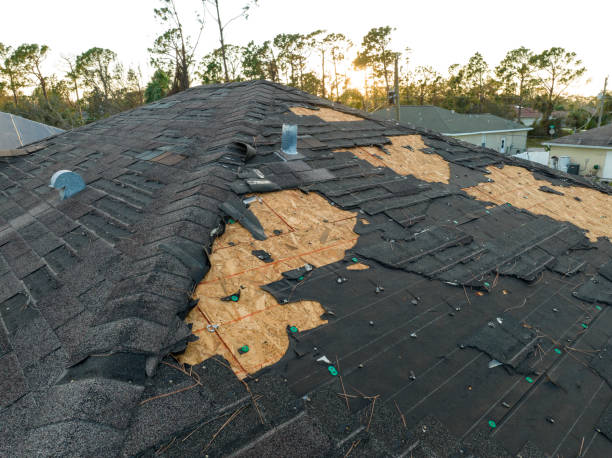 Best Roof Leak Repair  in , WY