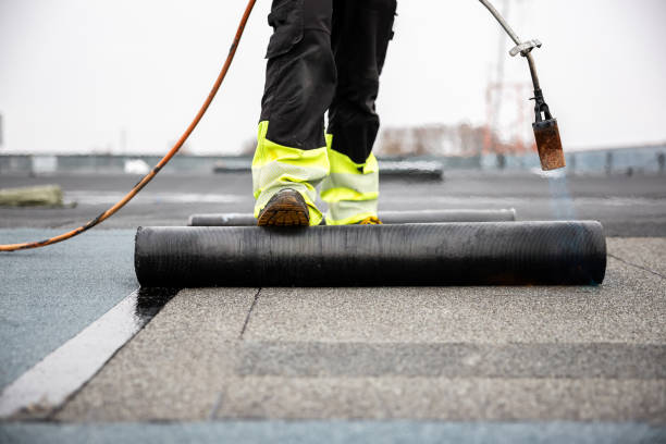 Best Roof Moss and Algae Removal  in , WY